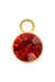 January Birthstone Charm