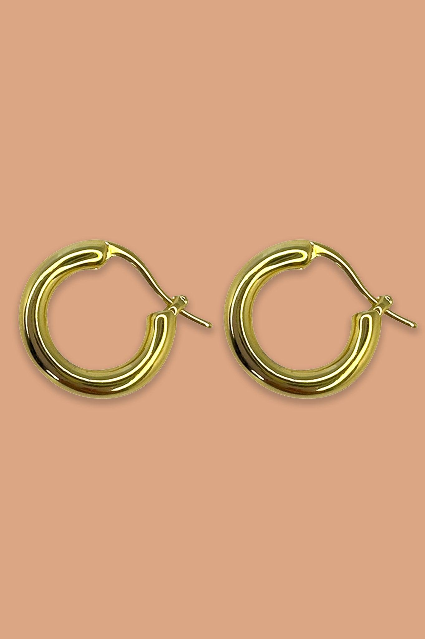 Classic Huggie Earring - Sweepstake Winners™